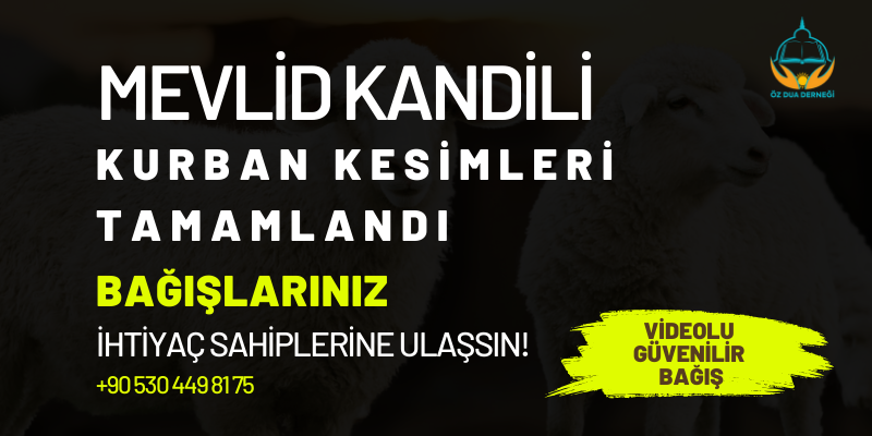 Bağışlarınızla Mevlid Kandili Kurban Kesimleri Tamamlandı