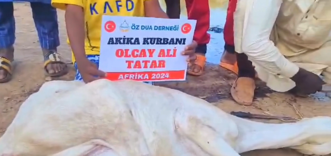 Akika Kurban Bağışı